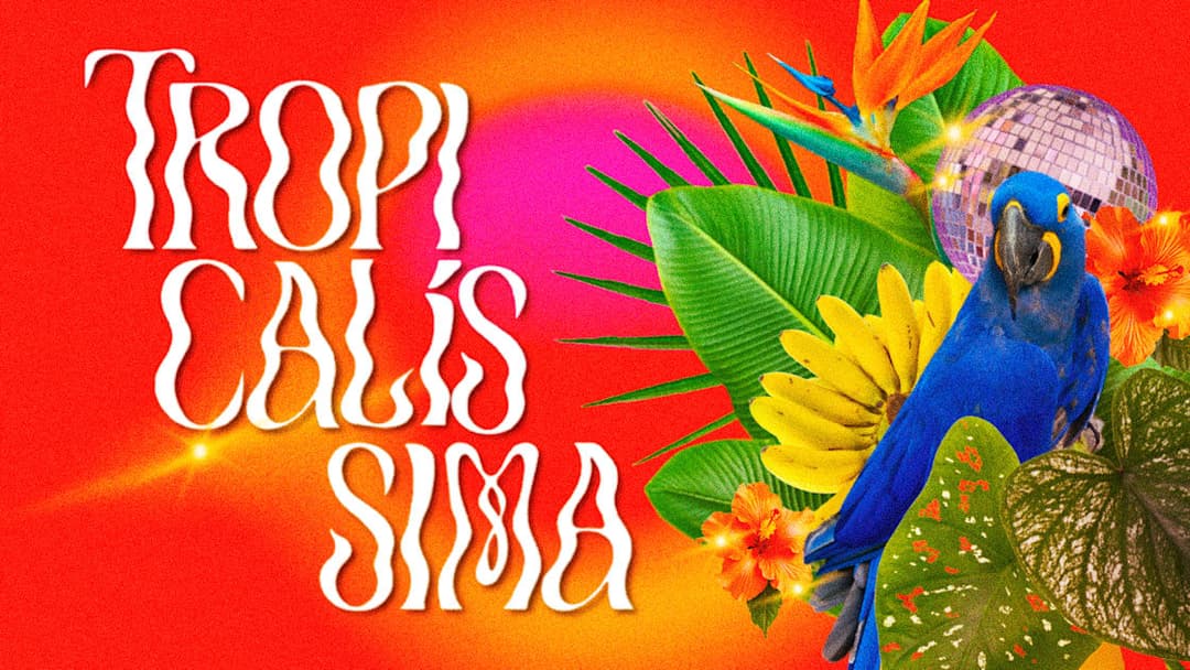 Cartaz de Tropicalíssima